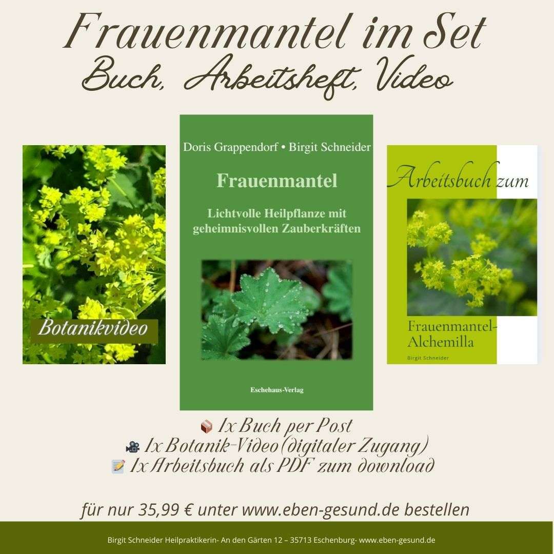 Frauenmantel-Set